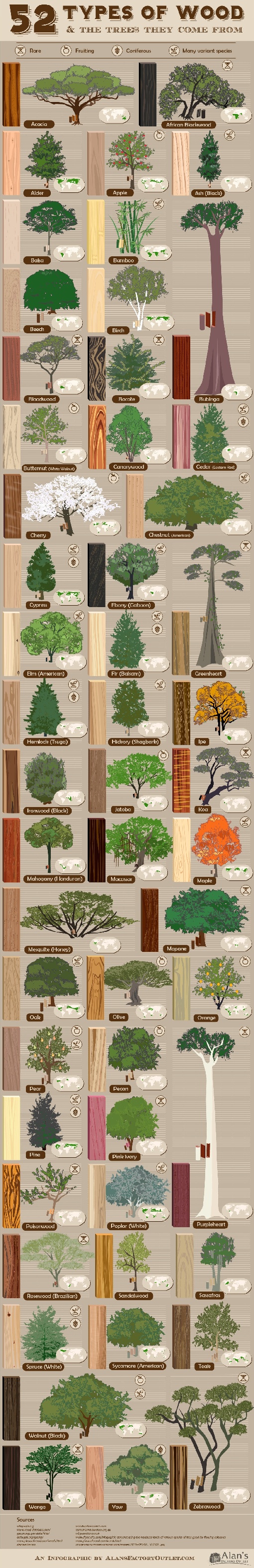 52-types-of-wood-trees-they-come-from.jpg