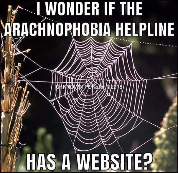 Arachophobia-meme.jpg