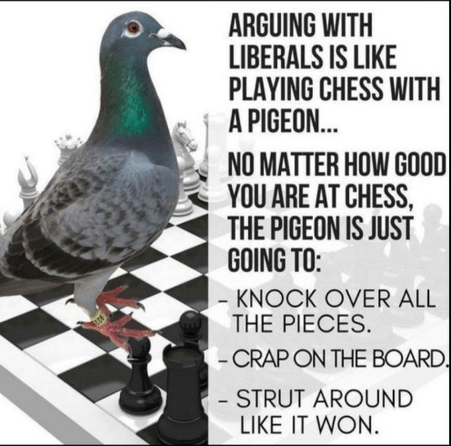 arguing-with-liberals-is-like-playing-chess-with-a-pigeon.jpg