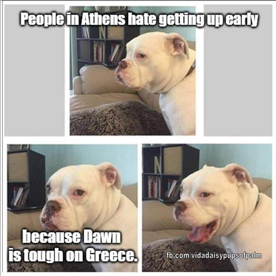 Athens-humor-(420gangsta.ca).jpg