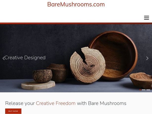baremushrooms_com.jpg