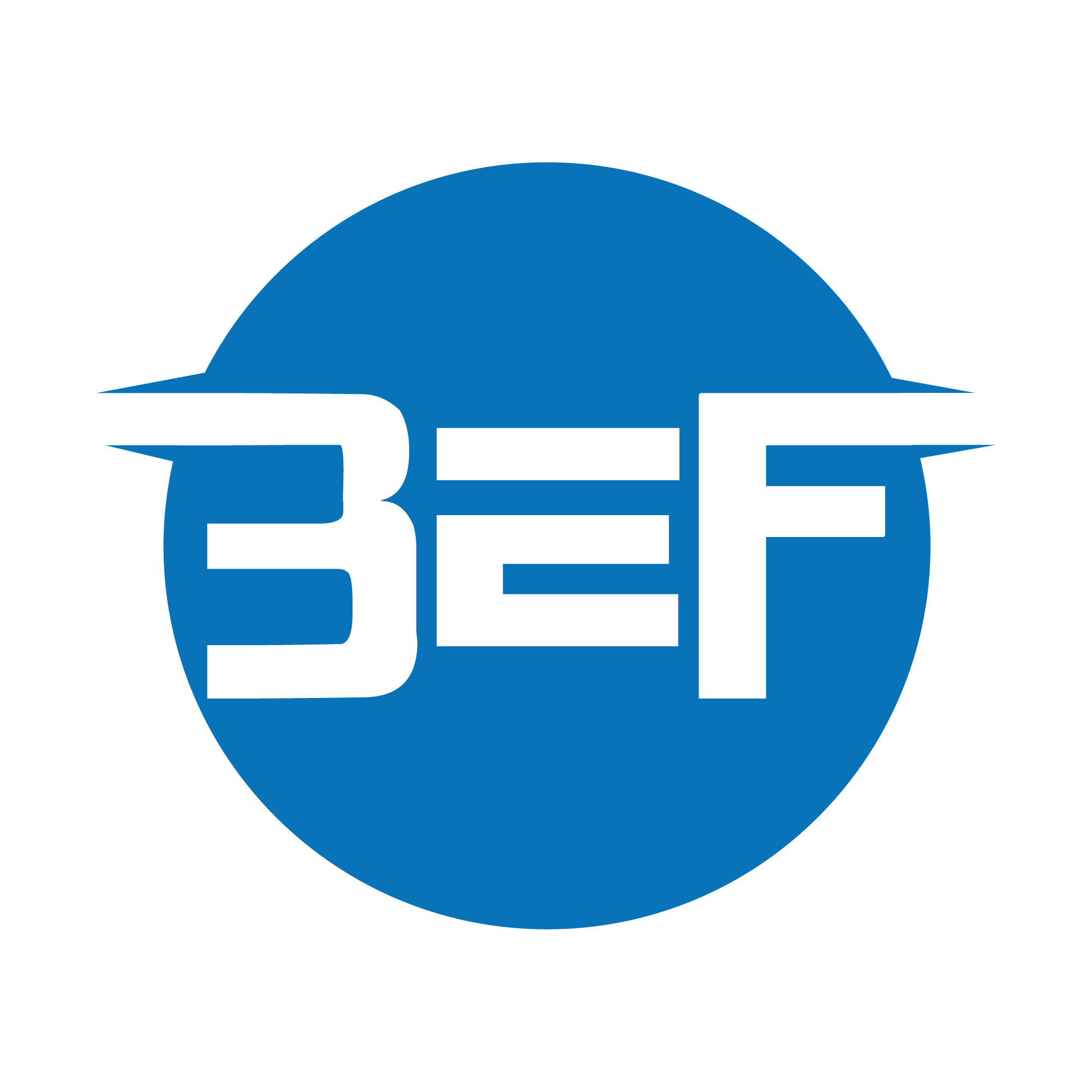BEF.io.png