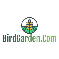 birdgarden.png