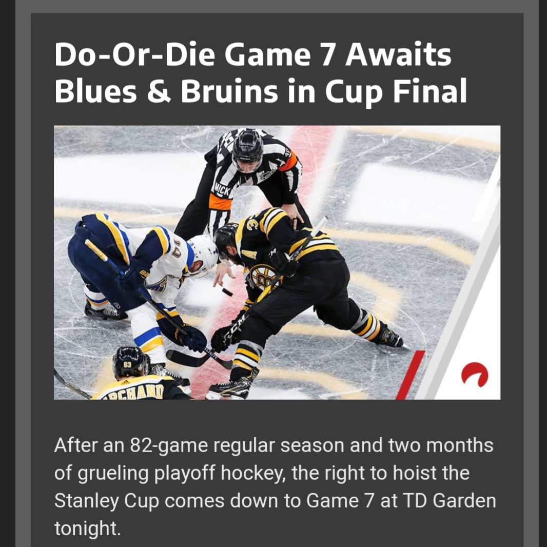 Bruins versus Blues - (420gangsta.ca).jpg