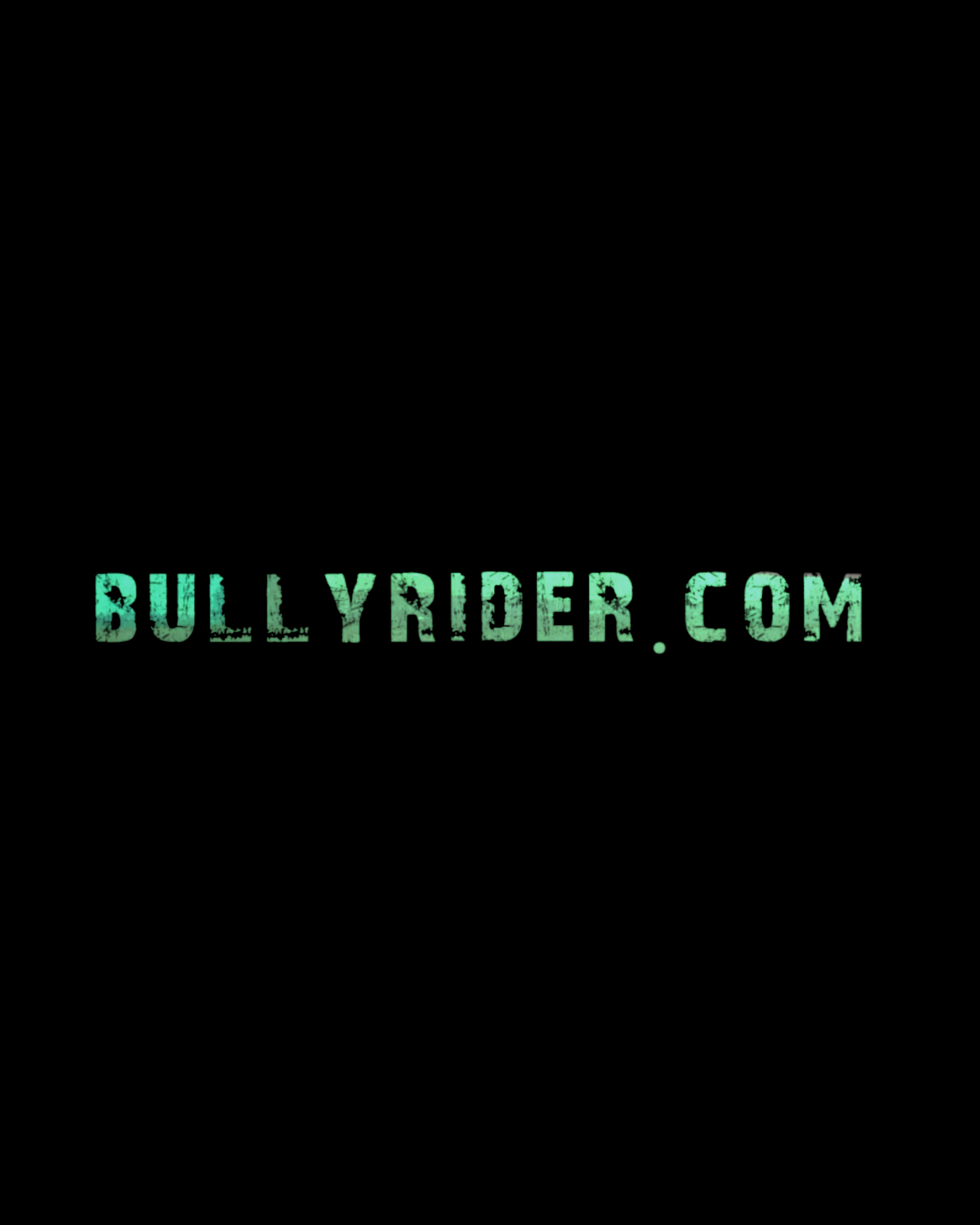 bullyrider.jpg