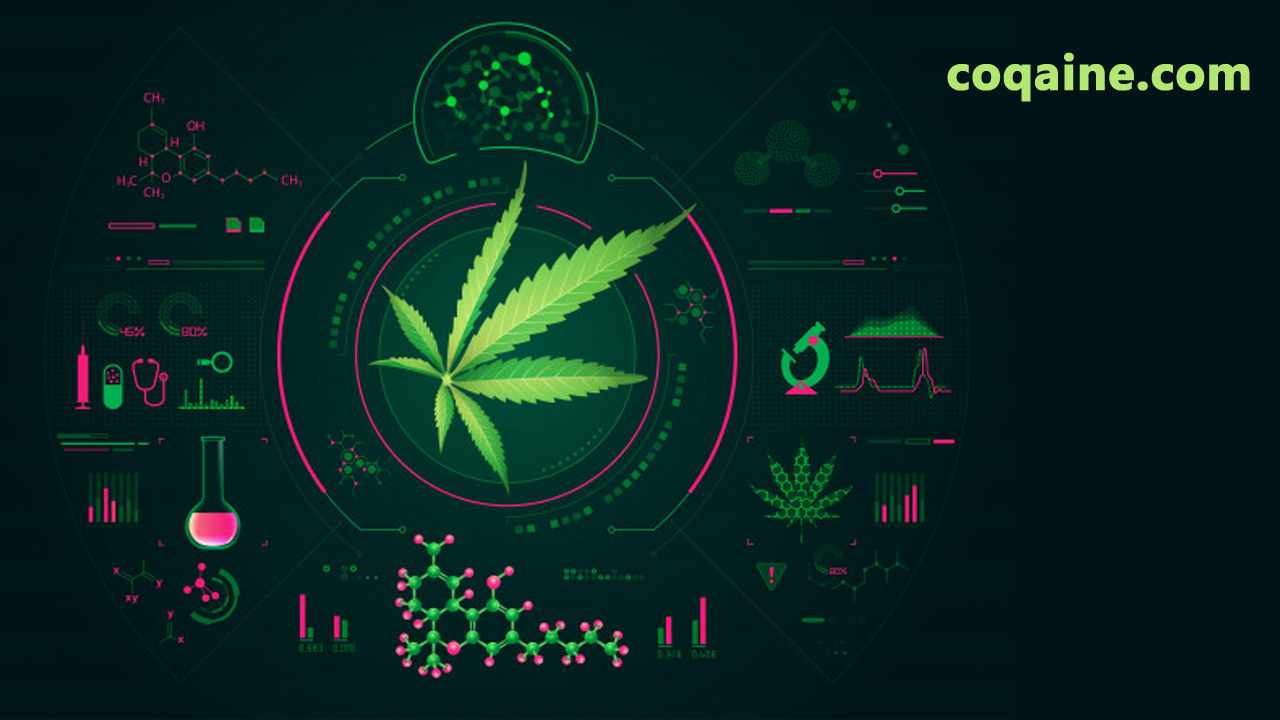 cbd marijuana leaf.jpg
