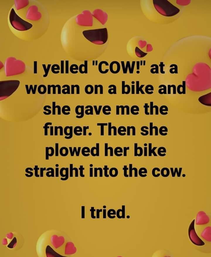 Cow-humor-(420gangsta.ca).jpg