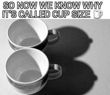 cup_size-(myway2fortune.info).jpg