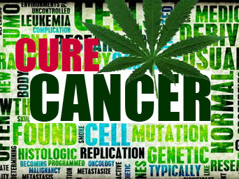 cure-cancer.jpg