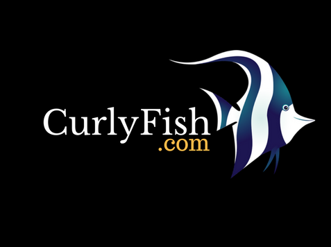 CurlyFish (4).png