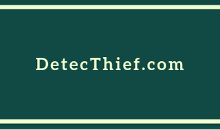 DetecThief.png