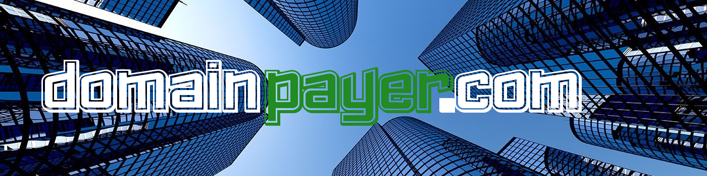 DomainPayer-Logo_idea.png