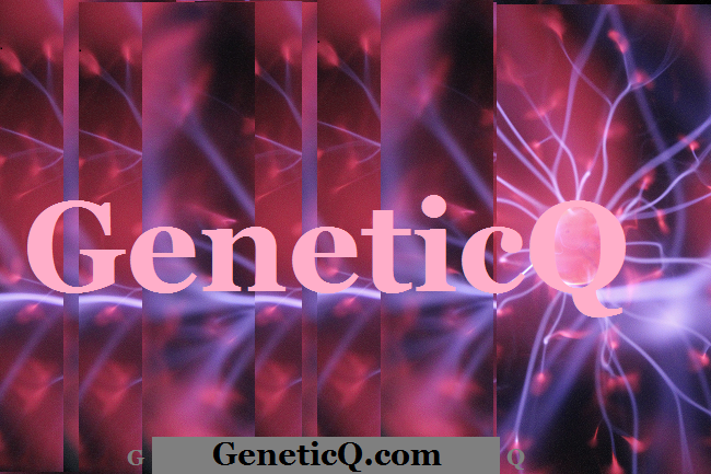 Genetic-Q-com-Logo.png