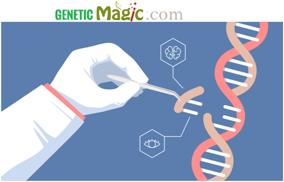 GeneticMagic.com.png