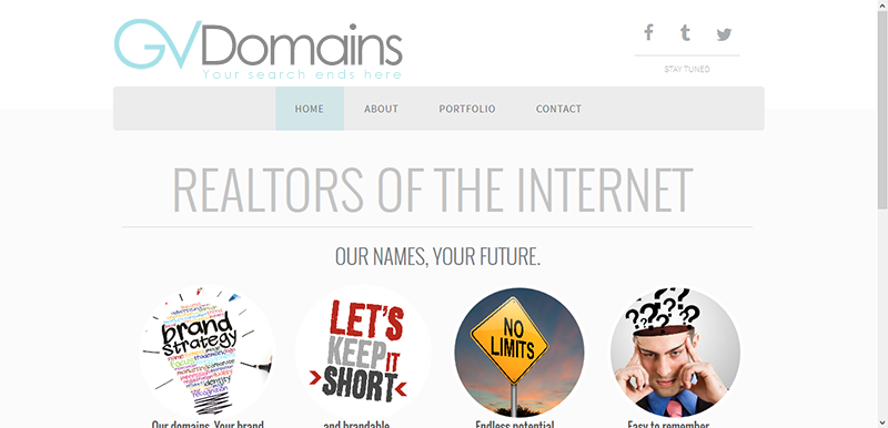 GVdomains-website.png