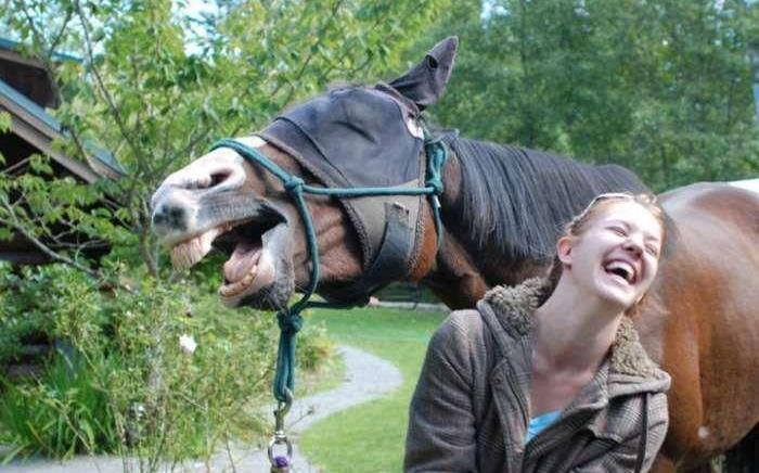 Horse + girl laughing.jpg