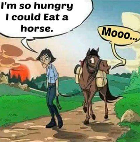 Horse-humor-(420Gangsta.ca).jpg