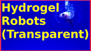 Hydrogel Robots 1.png