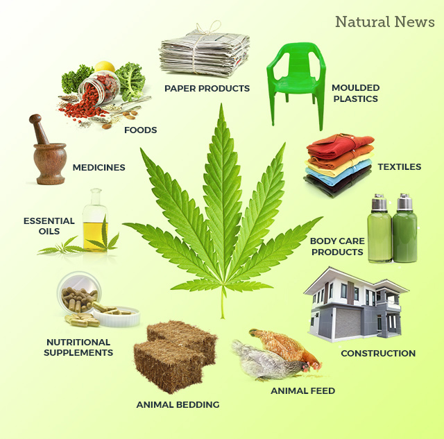 Infographic-Marijuana-Products.jpg