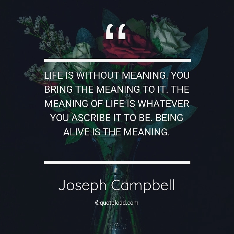 joseph-campbell-quote-life-is-without-meaning-you-bring-the-meaning.jpeg