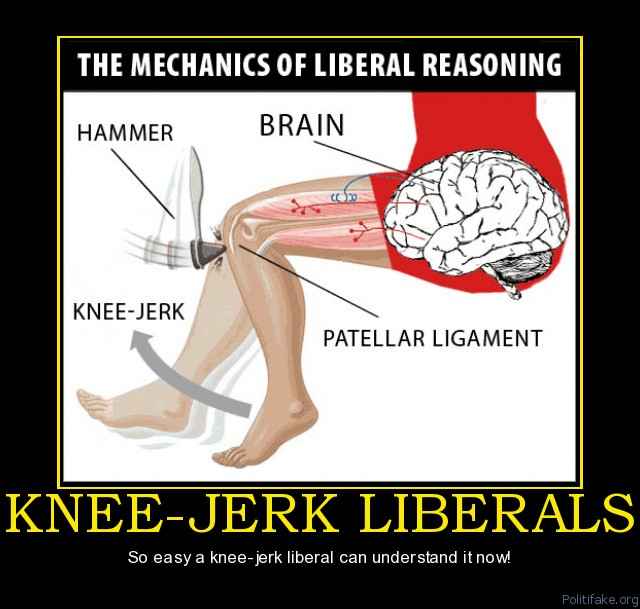 knee-jerk-liberals-knee-jerk-liberalism-defined-political-poster-1294434167.jpg
