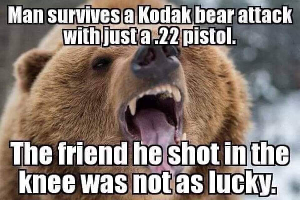 Kodiac-bear-humor-(420gangsta.ca).jpg