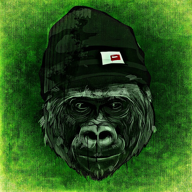 monkey-1235244_640.jpg