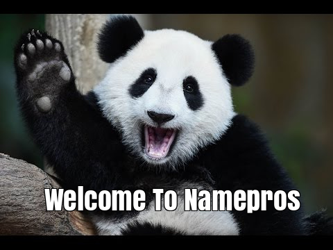 Namepros_Panda_welcome_(MyWay2fortune.info).png