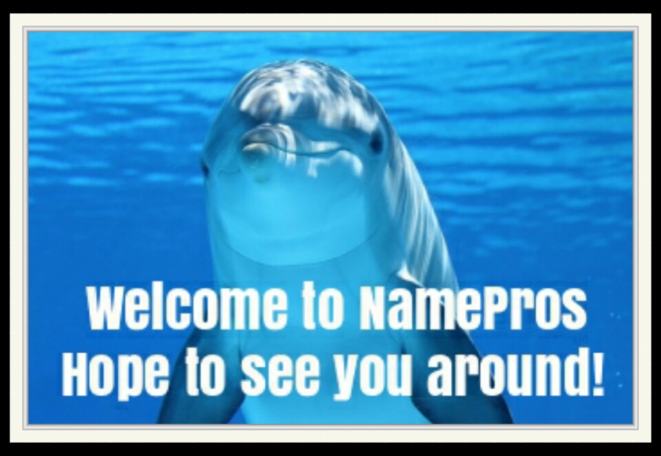 Namepros_Welcome_(MyWay2Fortune.info)_briguy.jpg