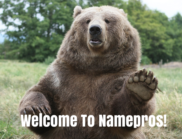 Namepros_Welcome_Bear_(myway2fortune.info).png
