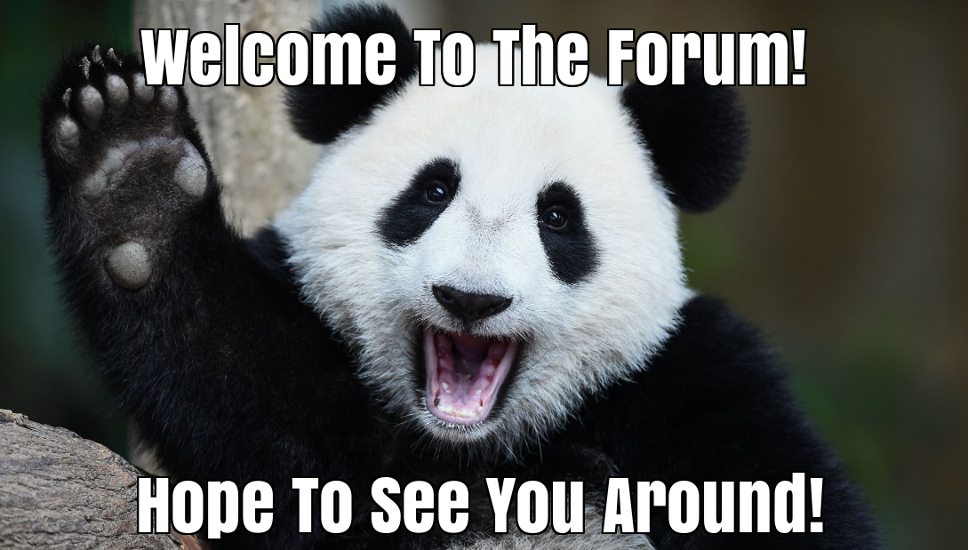 Namepros_Welcome_Panda_(mrbriguy2000@yahoo.ca).png