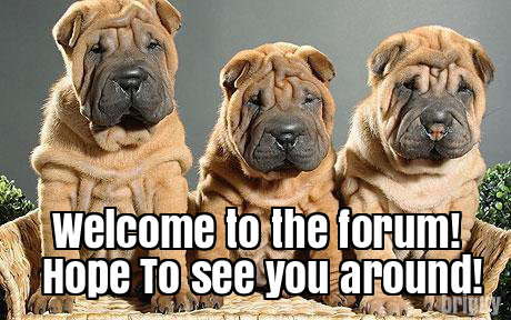 Namepros_Welcome_Wrinkly-dogs_(myway2fortune.info).png
