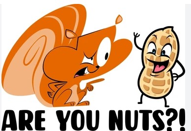 nuts.jpg