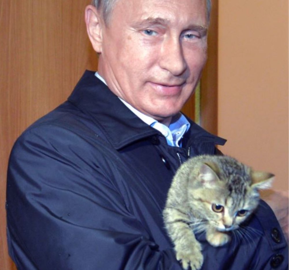 Nyet To Cat Cafes Or _Contact_ Zoos_ New Law Outlines Putin_s Pet Peeves.jpg