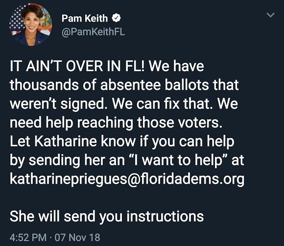 pam-keith-vote-fraud[1].jpg
