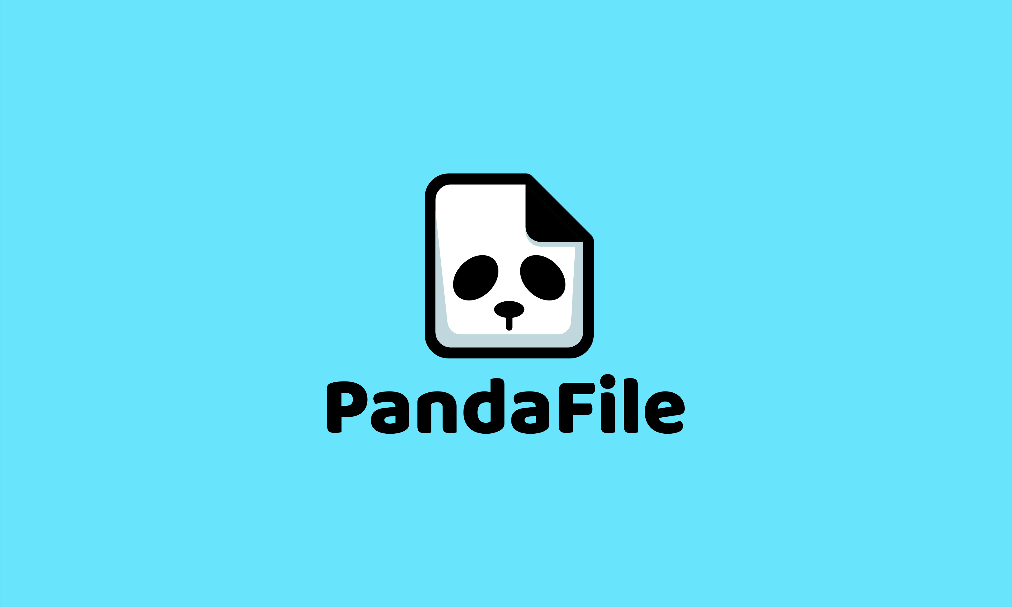 pandafile.png