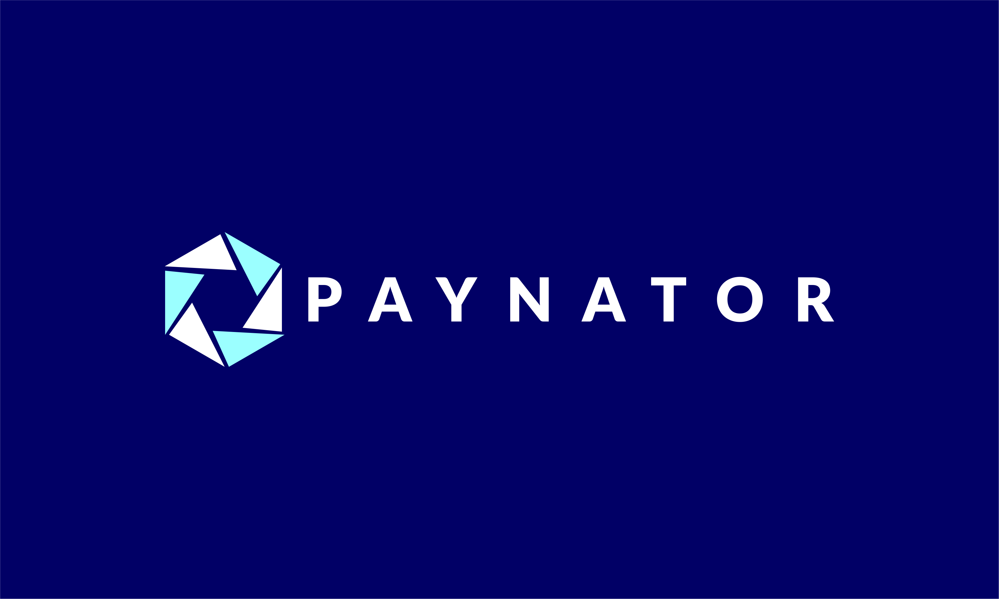 paynator1.png