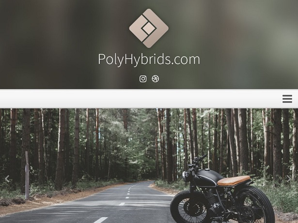 polyhybrids2_com.jpg