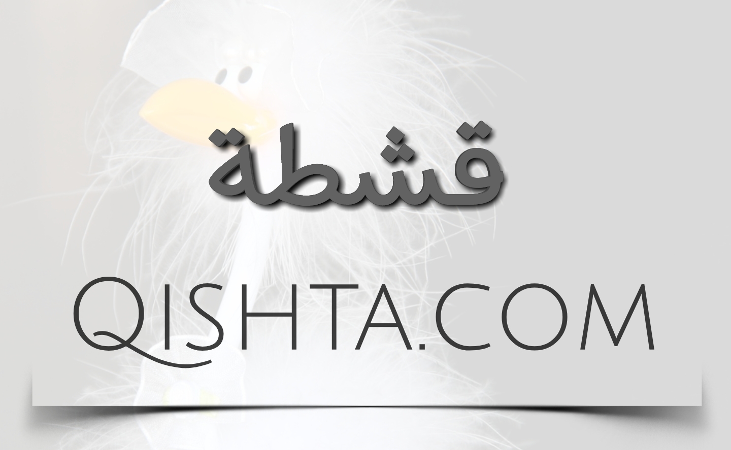 QISHTA.COM.jpg
