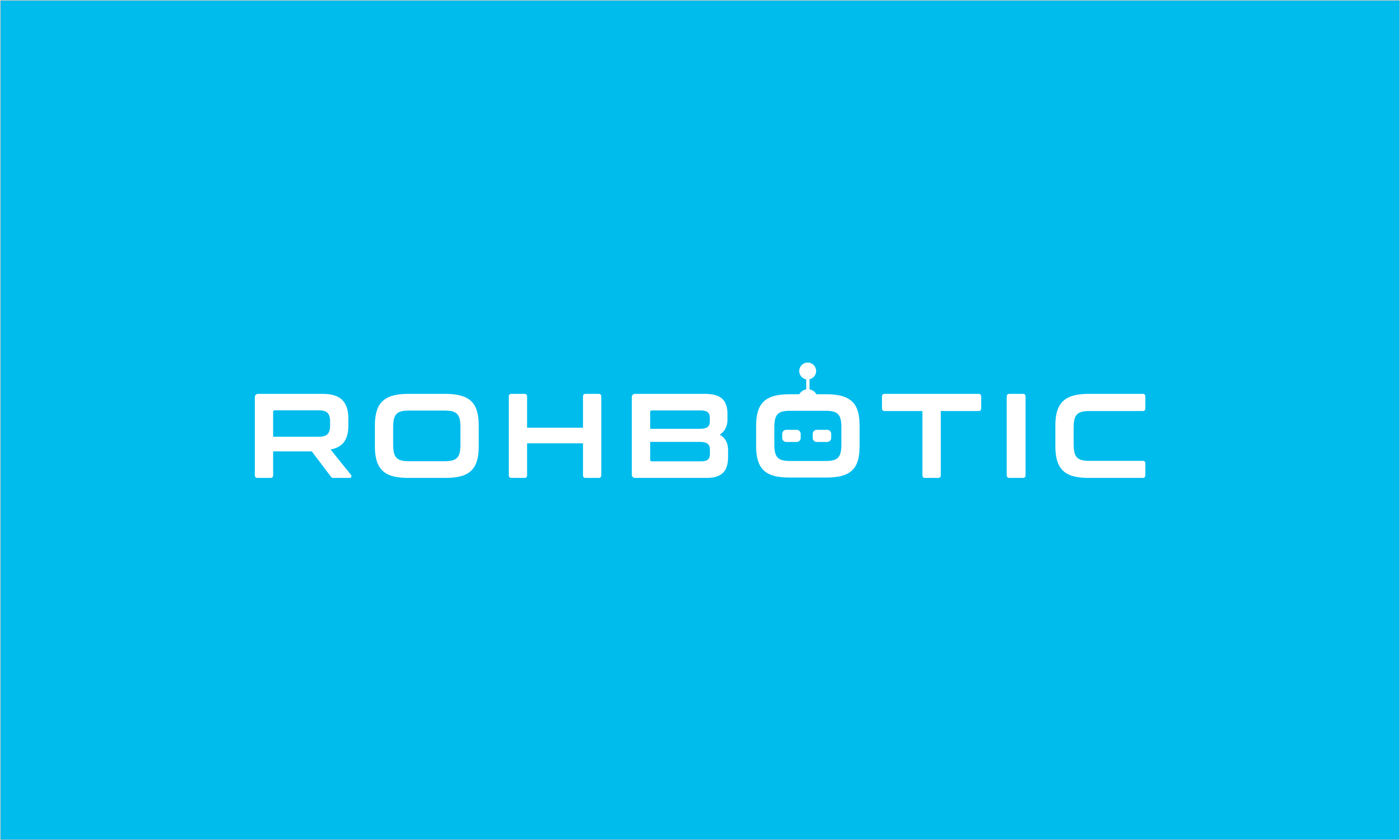Rohbotic  (1).png