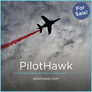 sale-image-44913-pilothawk.png