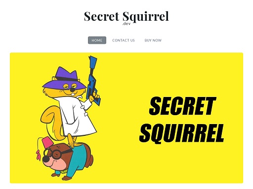 secretsquirrel.dev.jpg
