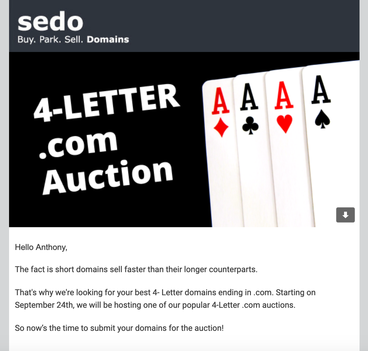 Sedo Auction.png