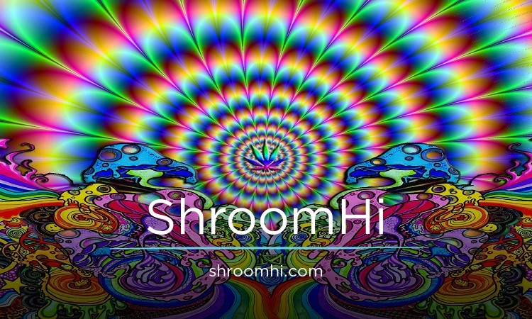 Shroom Hi HIgh.jpg