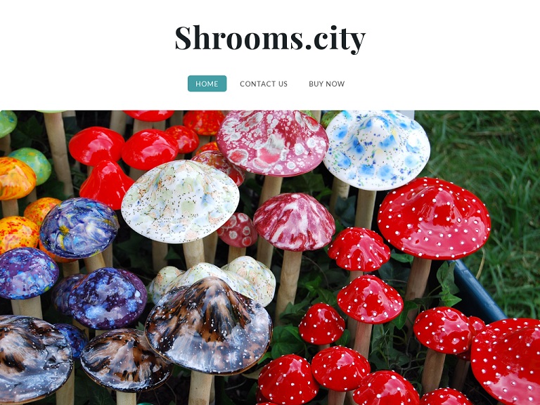 shrooms_city.jpg