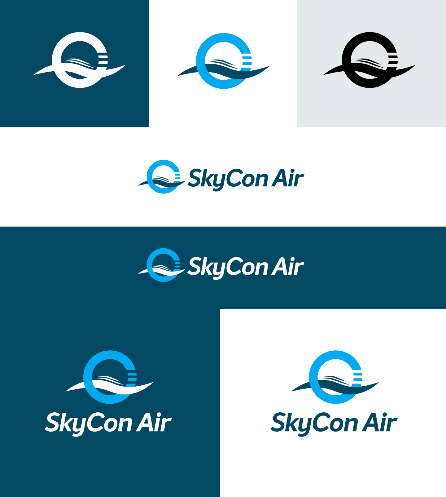Skycon.png