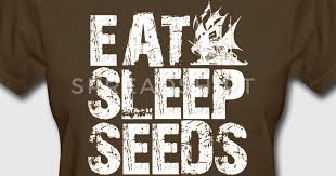 sleep seeds.jpg