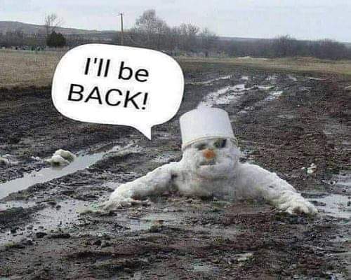 Snowman-humor-(420gangsta.ca).jpg