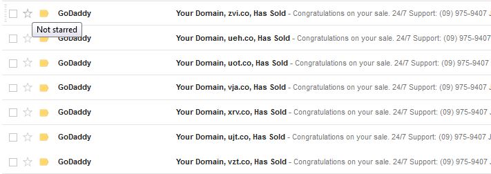Sold .co domains 2015.JPG