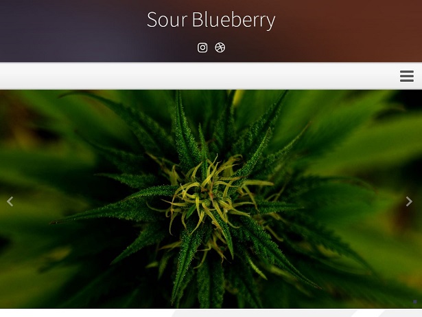 sourblueberry_com.jpg